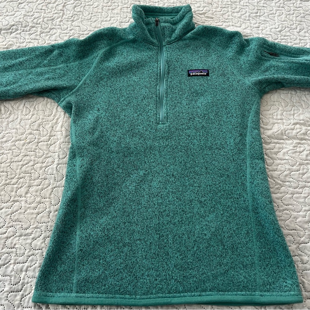 Patagonia Teal Fleece Pullover